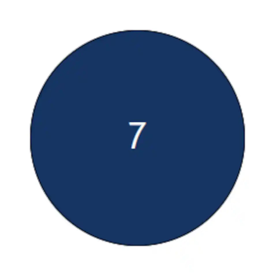 EPIFANES Bootslack 750ml